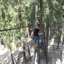 Parco Avventura Tree Experience