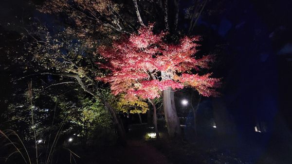 Edo-Tokyo Open Air Architectural Museum by null