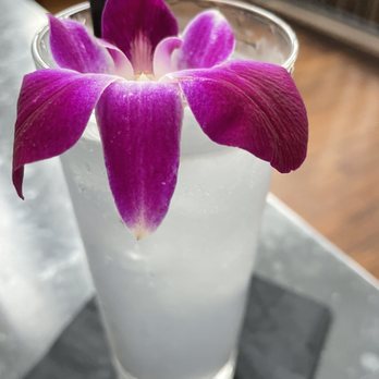 The Ice Plant - Cocktail Bars Near Me - St. Augustine, Florida