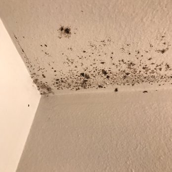 Mollison Garden Apartments - More mold - Apartments Near Me - El Cajon, California Mollison Garden Apartments - More mold - Apartments Near Me - El Cajon, California