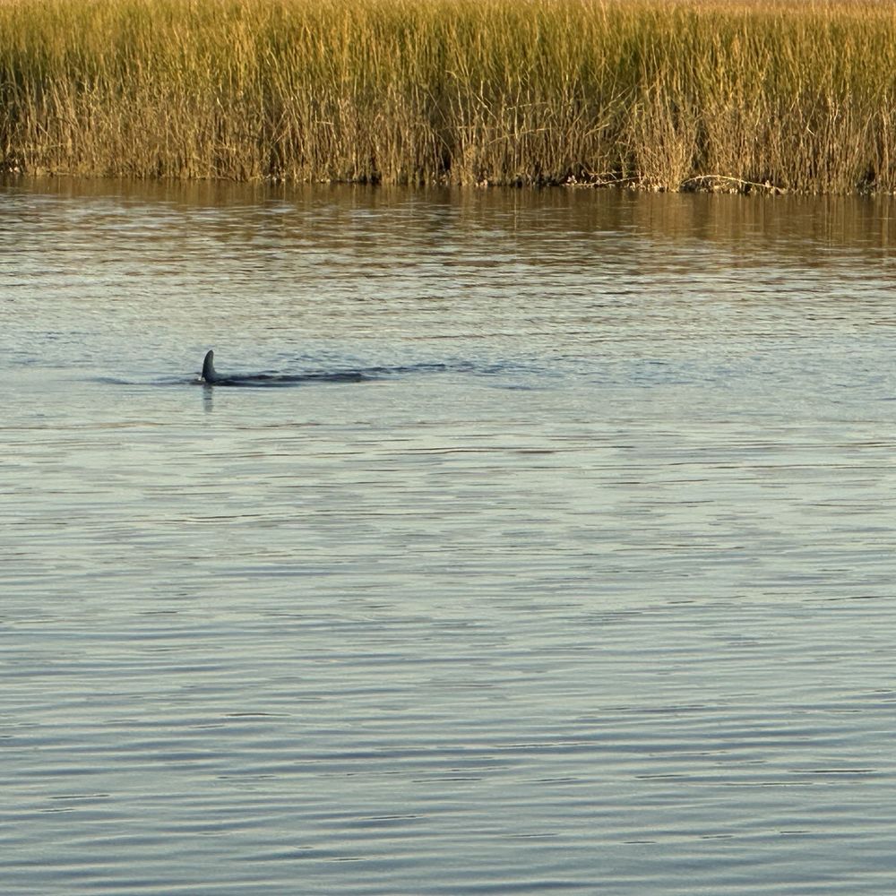 Anchor Excursions - Boat Tours Near Me - St. Simons Island, Georgia