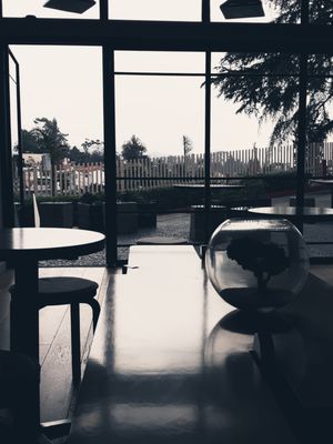 Kensho hollywood by null