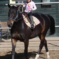 Edmonton Farms - Taking the reins.