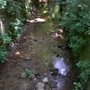 Photo of Ravine Park