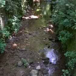 Ravine Park - creek flows through the center of the park