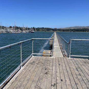 Spud Point Marina - Marinas Near Me - Bodega Bay, California Spud Point Marina - Marinas Near Me - Bodega Bay, California