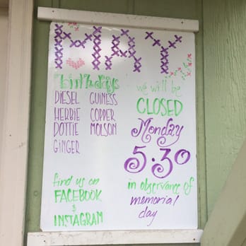 All About Paws - Puppy birthday + announcement board - Pet Sitting Near Me - Wheat Ridge, Colorado All About Paws - Puppy birthday + announcement board - Pet Sitting Near Me - Wheat Ridge, Colorado