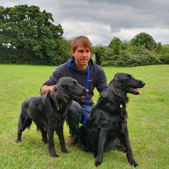 Your Pet First - Dog Walkers Near Me
