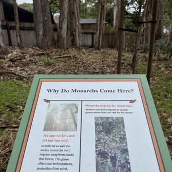 Monarch Grove Sanctuary - Outdoor signs - Parks Near Me - Pacific Grove, California Monarch Grove Sanctuary - Outdoor signs - Parks Near Me - Pacific Grove, California