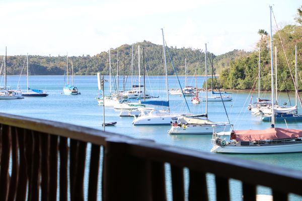 Badladz Dive Resort by null