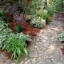 Photo of Dreamscaping Yard Maintenace & Drainage