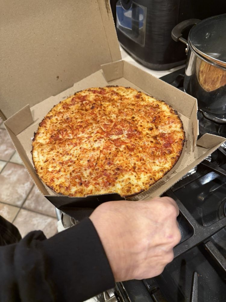 Domino's Pizza Logo