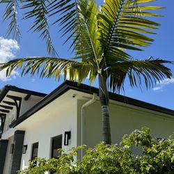 Rain Gutters by Green Solution