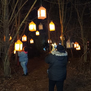 WINTER CITY LIGHTS - Updated November 2024 - 50 Photos & 20 Reviews - 4501 Olney Laytonsville Rd