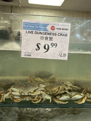 Hashi Market by null