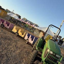 KR Farms Winterland & Alpine Christmas Trees