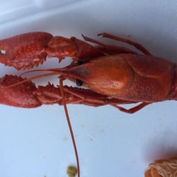 Rollo's Seafood