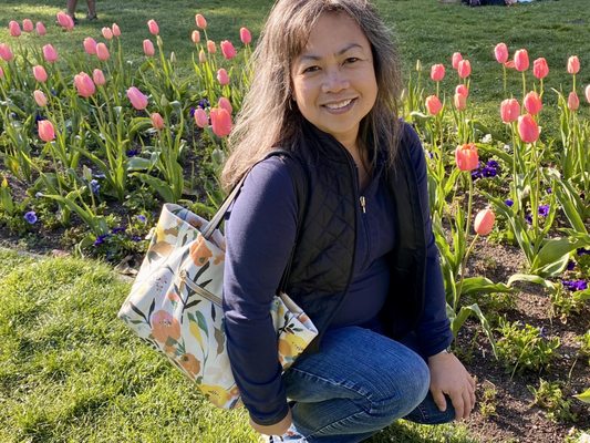 Dutch Windmill by null