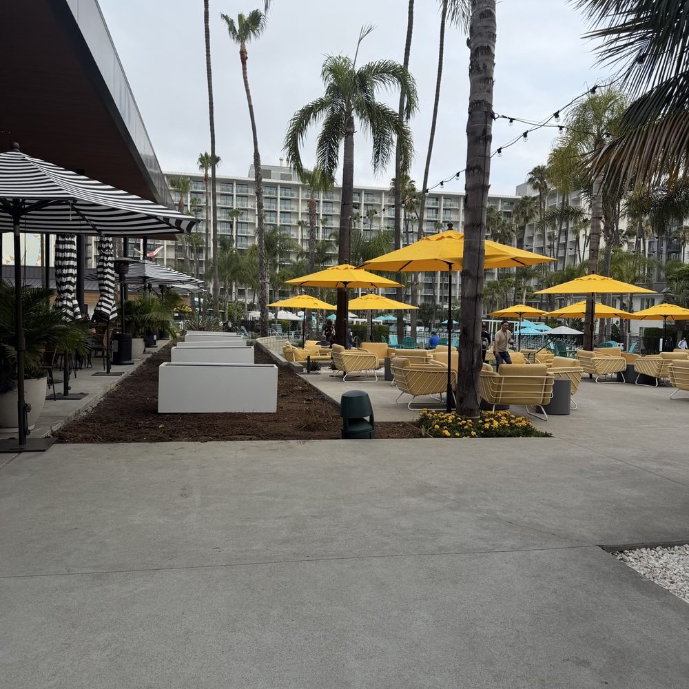 ARLO - Outdoor seating - New American Near Me - San Diego, California ARLO - Outdoor seating - New American Near Me - San Diego, California