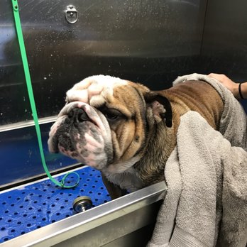 Healthy Pet - North Austin - Pet Stores Near Me - Austin, Texas Healthy Pet - North Austin - Pet Stores Near Me - Austin, Texas