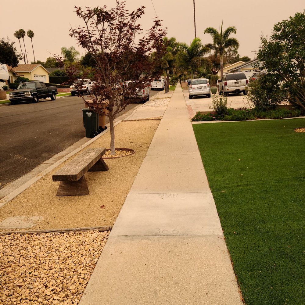 Gold Coast Tree Service - Bloodgood maple. - Tree Services Near Me - Simi Valley, California Gold Coast Tree Service - Bloodgood maple. - Tree Services Near Me - Simi Valley, California