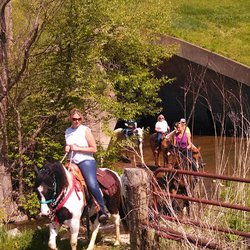 Misty Ridge Farm - Adult trail riding trips to parks.