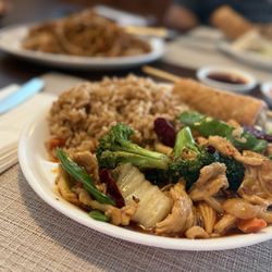 Asian Dynasty  - Chicken and Chicken w.Mixed Vegetables