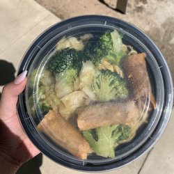 Wuden Chopsticks - Noodles and vegetable