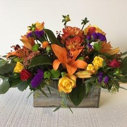 Exotic Plantworks