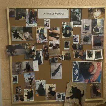 Black Cat Coffee - Black Cat Coffee bulletin wall of black cats - Coffee & Tea Near Me - Titusville, Florida Black Cat Coffee - Black Cat Coffee bulletin wall of black cats - Coffee & Tea Near Me - Titusville, Florida