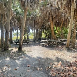 On the island On the island