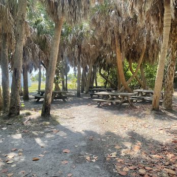 Island Boat Adventures - On the island - Tours Near Me - Gulfport, Florida Island Boat Adventures - On the island - Tours Near Me - Gulfport, Florida