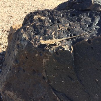 Painted Rock Petroglyph Site - Hello there friend! - Parks Near Me - Dateland, Arizona