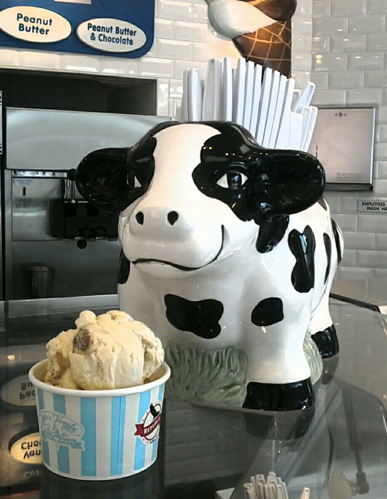 Kohr Family Frozen Custard and Ice Cream, Clearwater Roadtrippers