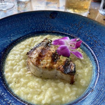 Hooked - Swordfish on Risotto!! Mmmm mmmm good. Lol - Seafood Near Me - Ocean City, Maryland Hooked - Swordfish on Risotto!! Mmmm mmmm good. Lol - Seafood Near Me - Ocean City, Maryland