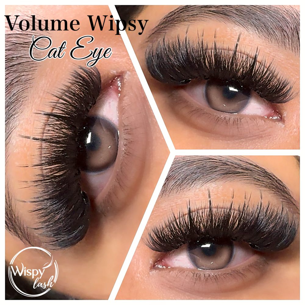 Wispy lash Logo
