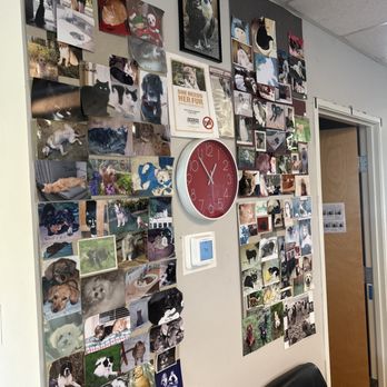 Summit Rehabilitation - Everett - Physical Therapy Near Me - Everett, Washington Summit Rehabilitation - Everett - Physical Therapy Near Me - Everett, Washington