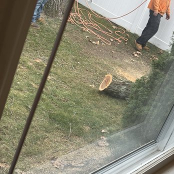Two Brothers Tree Service & Landscaping - Lawn Services Near Me - Chicopee, Massachusetts