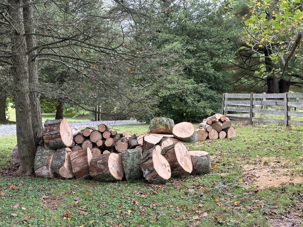 Nelson Tree Specialist - tree service in Highland, MD