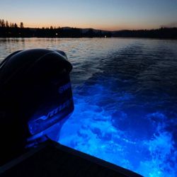 Lake Escapes Boat Rentals