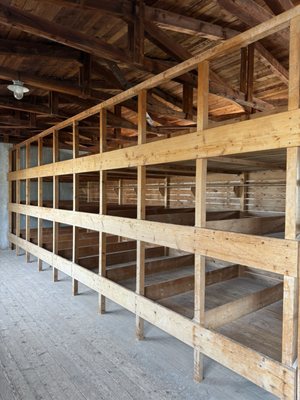 Dachau Concentration Camp Memorial Site by null