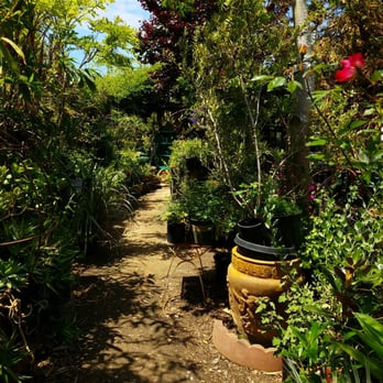 Plantplay Gardens - Nurseries & Gardening Near Me - Oceanside, California Plantplay Gardens - Nurseries & Gardening Near Me - Oceanside, California