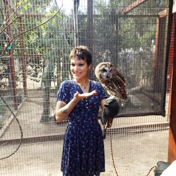 Wildlife Learning Center - Animal Experience Package: Holding Newton the owl! - Zoos Near Me - Sylmar, California Wildlife Learning Center - Animal Experience Package: Holding Newton the owl! - Zoos Near Me - Sylmar, California