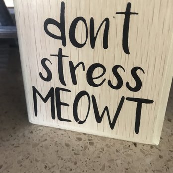 BuzzCatz Coffee & Sweets - Coffee & Tea Near Me - Orange Beach, Alabama