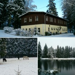 Waldhotel Zöbischhaus - Gemütliches Waldhotel in Auerbach