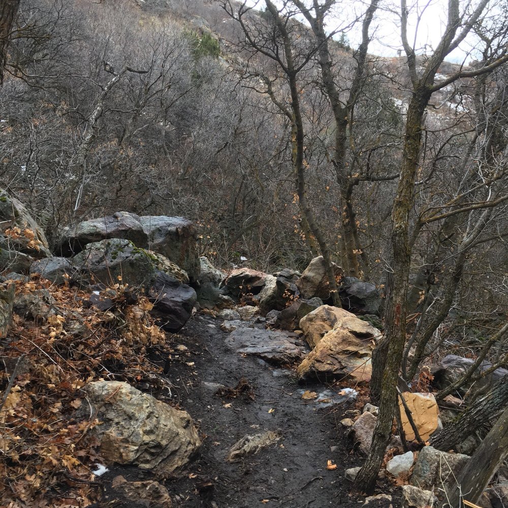 Mount Olympus Trailhead - Hiking Near Me - Holladay, Utah
