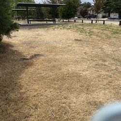 Goldstone Park