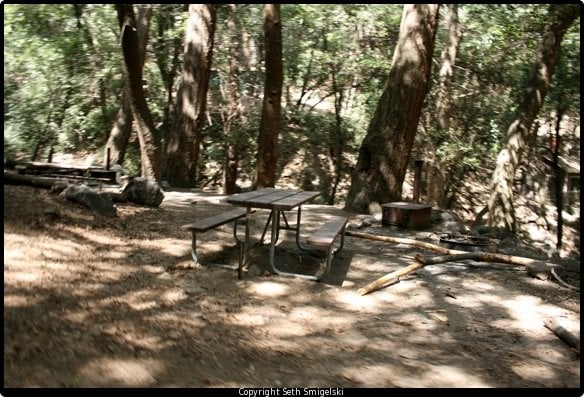 Spruce Grove Campground