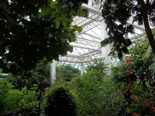 The Key West Butterfly and Nature Conservatory by null