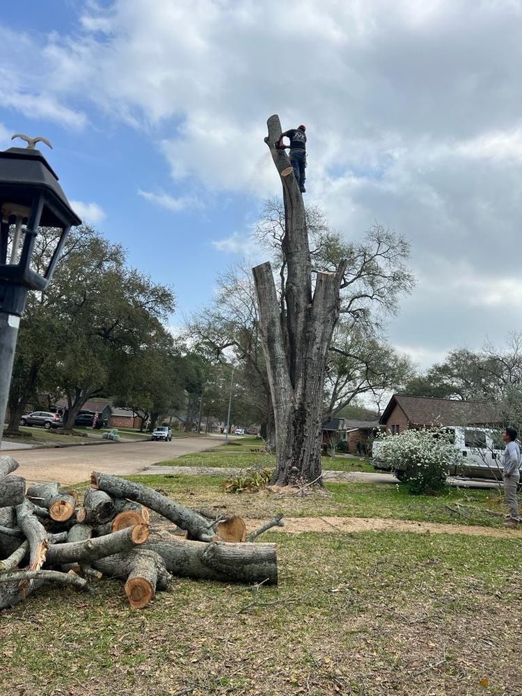 Slide of Axion Multi Services